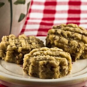 oatmeal-choc-chip-completed